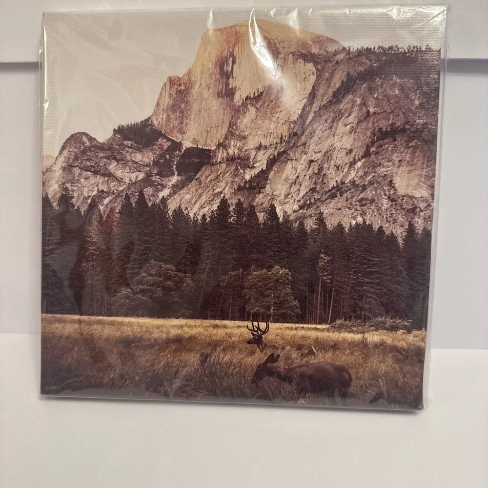 Scenic Mountain Wall Art in Brown and Green